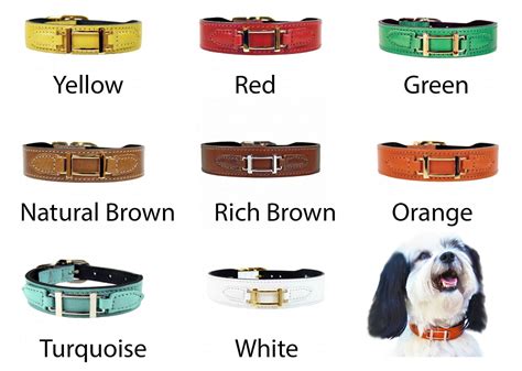 replica hermes dog collar and leash|hermes dachshund scarf.